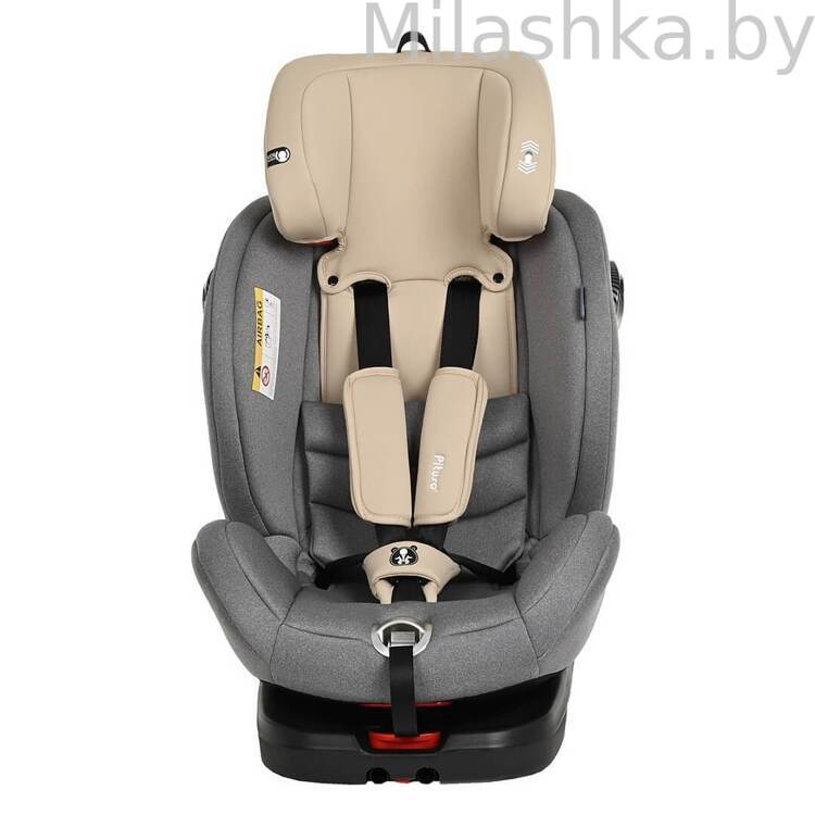 Автокресло Pituso Roys Pro Isofix (0-36 кг) серый/бежевый