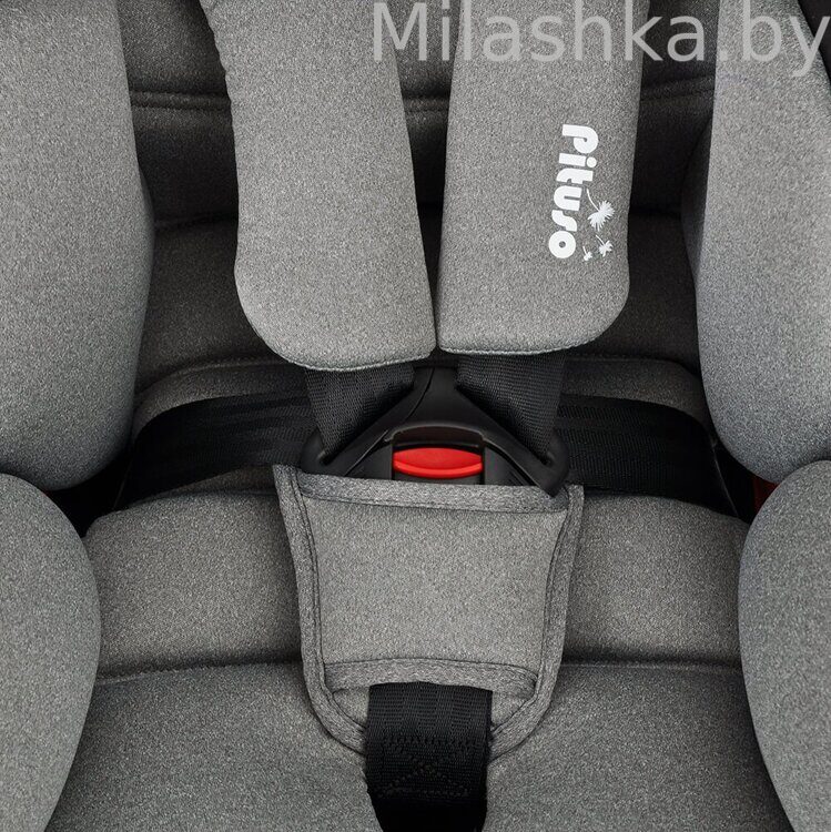 Детское автокресло Pituso Roys (0-36 кг) Black Grey/Черно-Серый