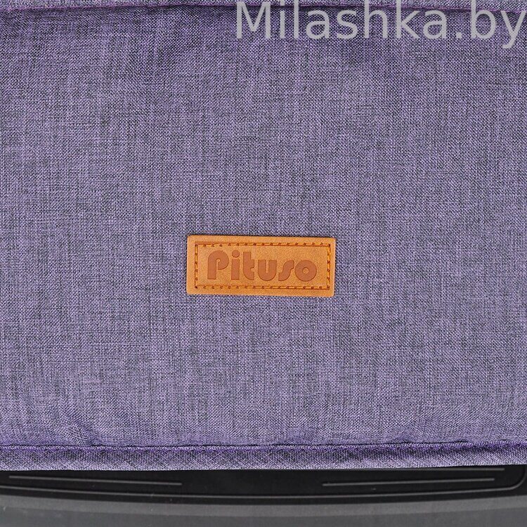 Коляска прогулочная детская PITUSO LIBRO Plum /Слива Х1