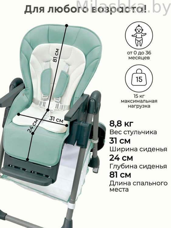 Стульчик для кормления Bubago Amelia Зеленый BG 103-3