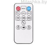 14_TWINKLE_remote_control