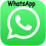 1024px-WhatsApp_logo-color-vertical.svg111