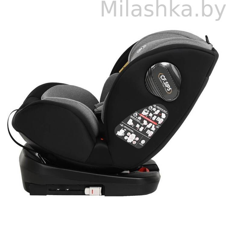 Автокресло Pituso Roys Pro IsoFix (0-36 кг) черный/серый