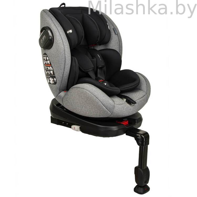 Автокресло Pituso Roys Pro IsoFix (0-36 кг) серый/черный вкладыш