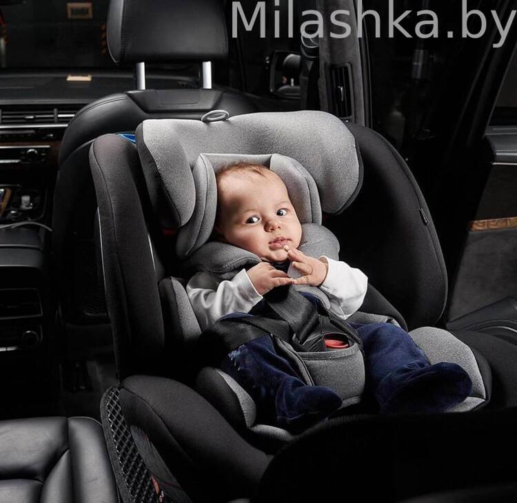 Детское автокресло Pituso Roys (0-36 кг) Black Grey/Черно-Серый