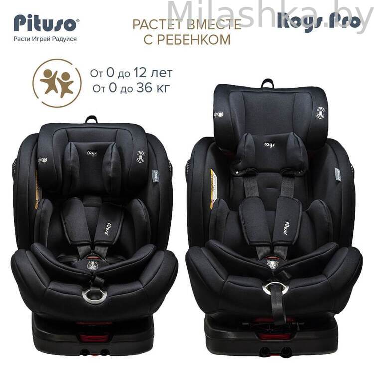 Автокресло Pituso Roys Pro IsoFix (0-36 кг) черный/черный вкладыш